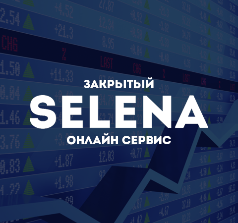 Закрой интернет. Selena service.