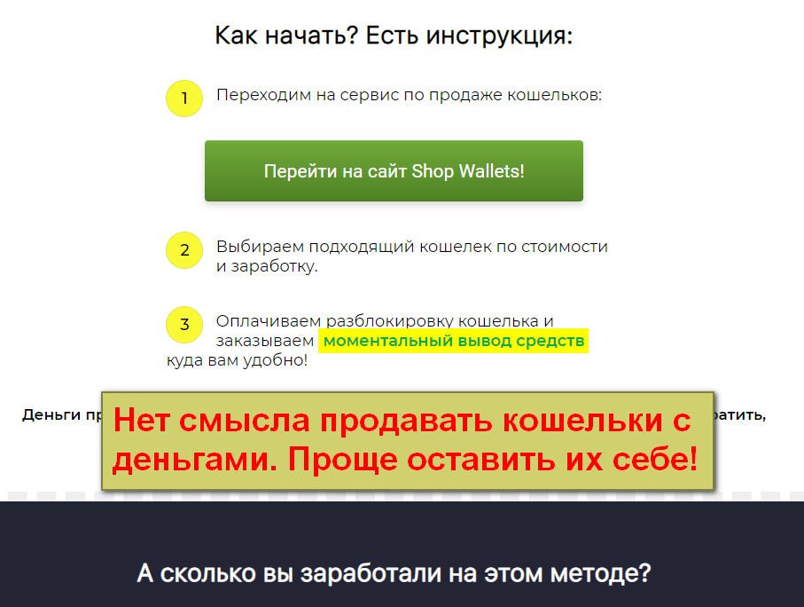 Светлана Шарапова рекламирует в своём блоге Obman net сервис Shop Wallets, который просто не имеет логики и смысла.