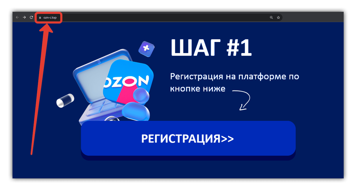 Инвестиционные проекты озон